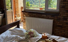 Готель Довбуш